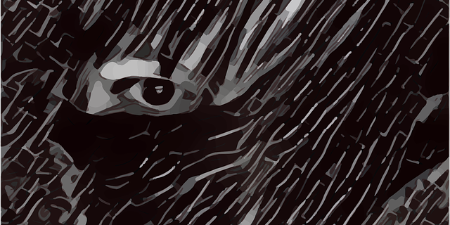 The 5 Biggest Cybersecurity Mistakes Midlands Businesses Are Making Right Now