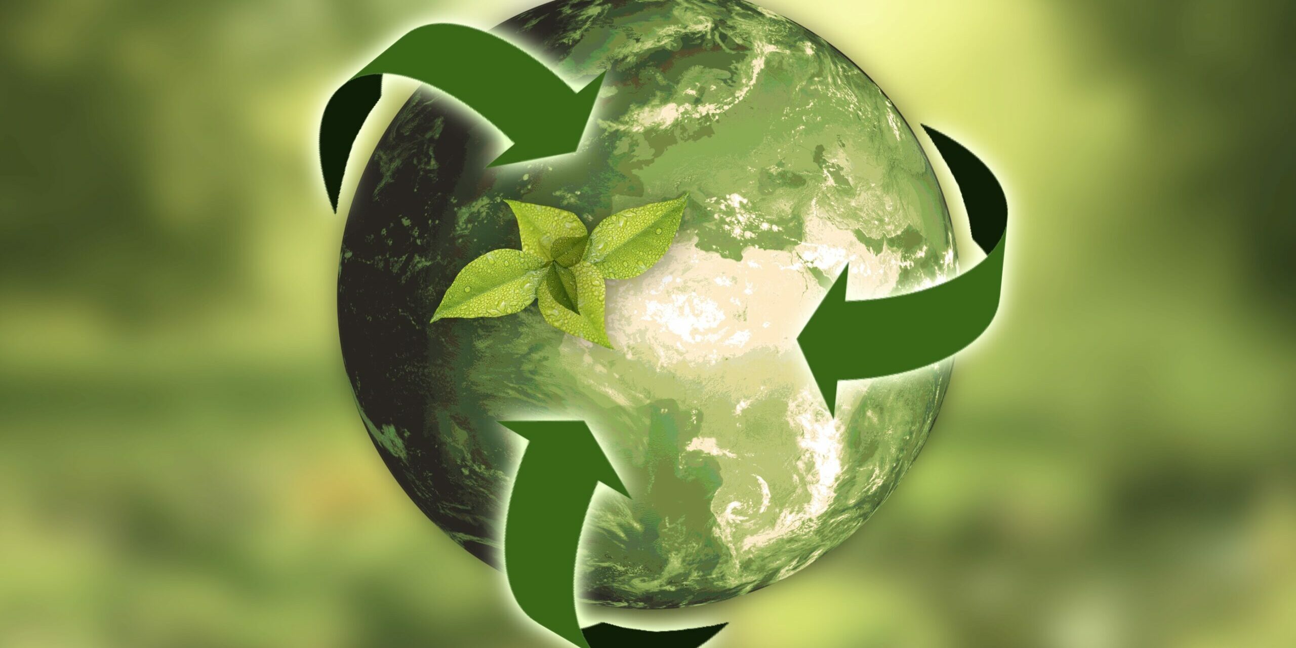 Implementing Sustainable Technology Practices in Businesses