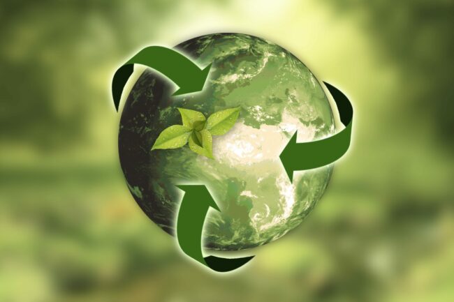 Implementing Sustainable Technology Practices in Businesses